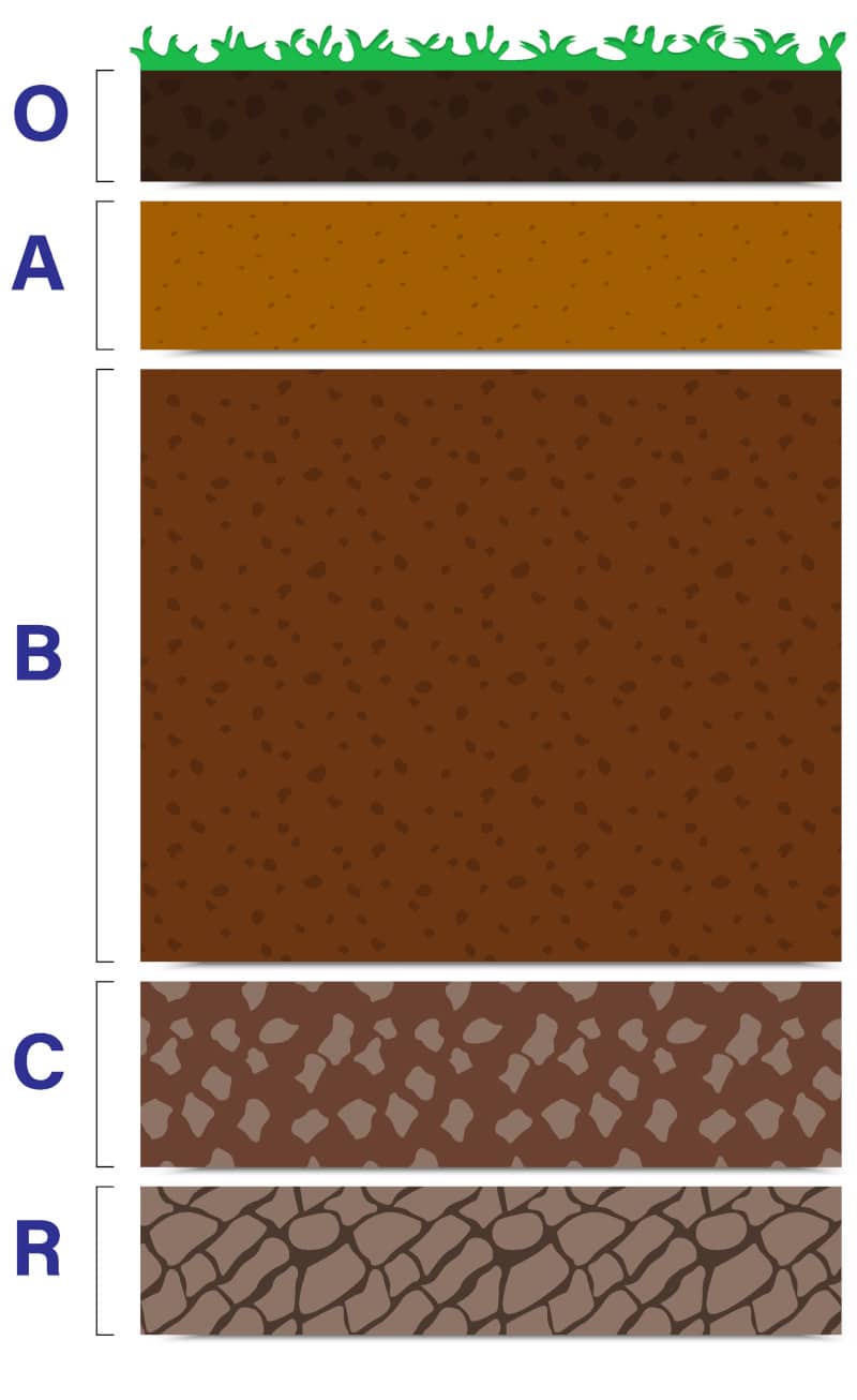 Tagliabordi A Denti Manuale - Tagliaerba Bordi Prato Con Impugnatura A T - Foto 6